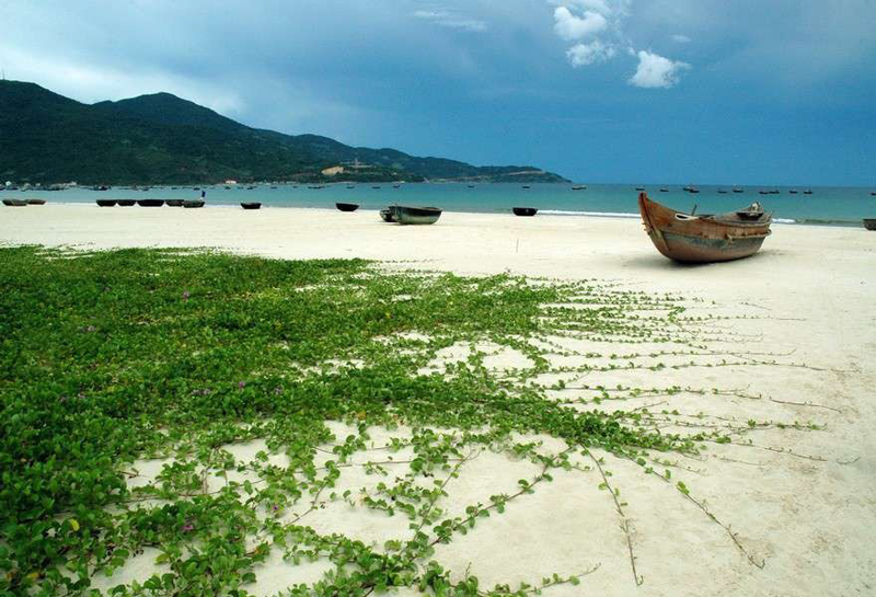 Tổng hợp những bãi biển Đà Nẵng đẹp nhất hành tinh