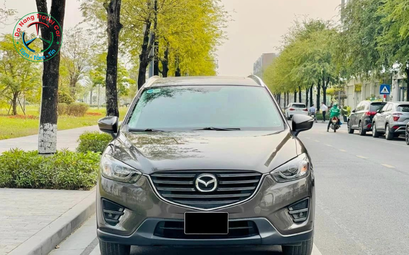 các dòng xe 7 chỗ cũ giá rẻ