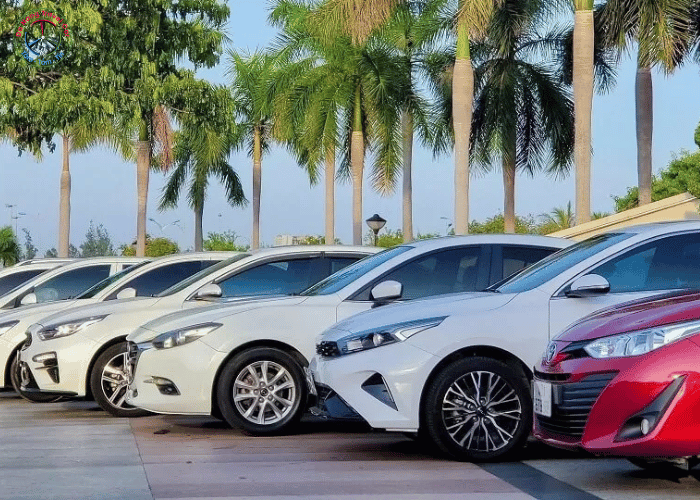 thuê xe tự lái bao nhiêu tiền mỗi ngày