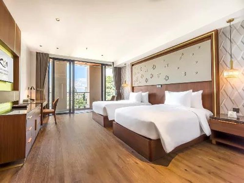 Hướng dẫn đặt phòng & thông tin liên hệ