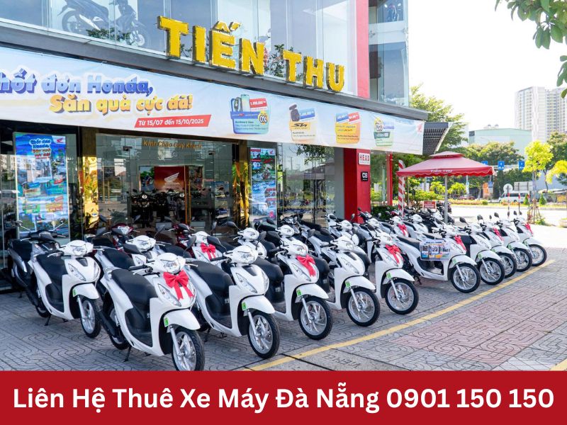 Chi phí rẻ hơn 3–5 lần so với di chuyển bằng taxi